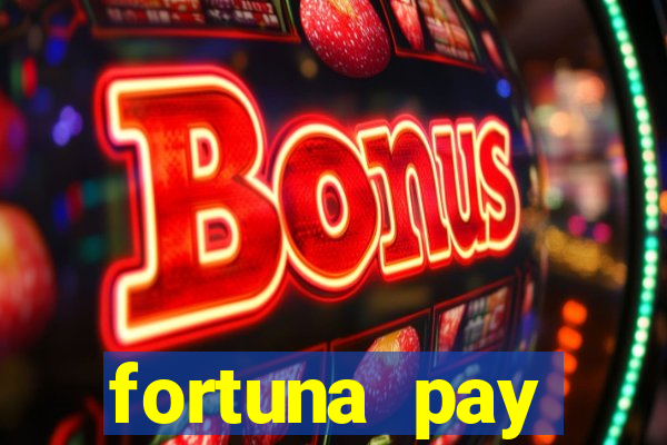 fortuna pay consultoria financeira ltda